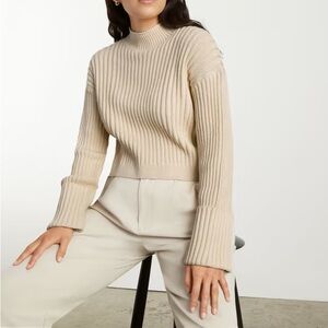 NWT Everlane The Cotton Ribbed Rollneck Sweater L